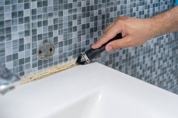 Best Black Mold Removal  in Boiling Springs, SC